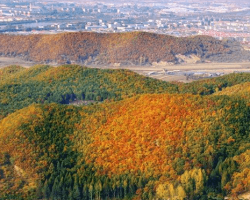 敦化市人民政府