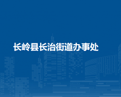 長嶺縣長治街道辦事處