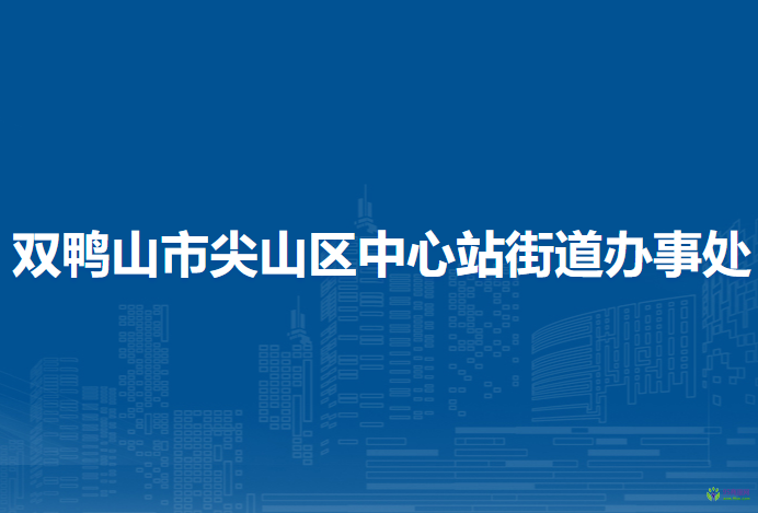 雙鴨山市尖山區(qū)中心站街道辦事處