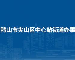 雙鴨山市尖山區(qū)中心站街道辦事處