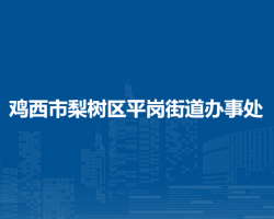 雞西市梨樹(shù)區(qū)平崗街道辦事處