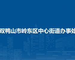 雙鴨山市嶺東區(qū)中心街道辦事處