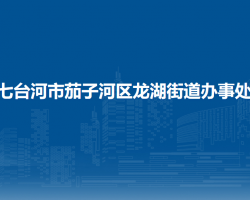 七臺(tái)河市茄子河區(qū)龍湖街道辦事處