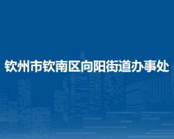 欽州市欽南區(qū)向陽(yáng)街道辦事處