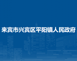 來賓市興賓區(qū)平陽鎮(zhèn)人民政府