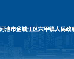 河池市金城江區(qū)六甲鎮(zhèn)人民政府